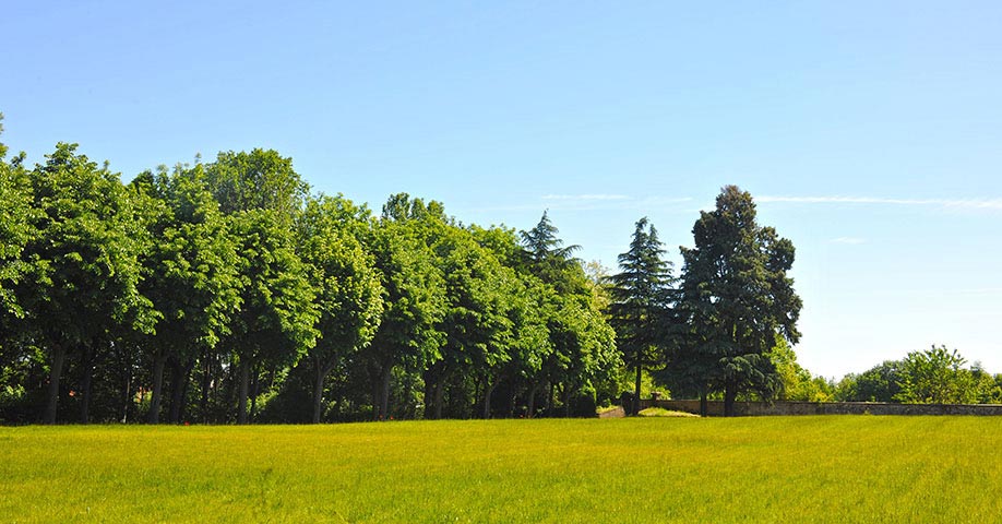 Grandi spazi verdi